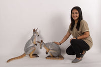 Wallaby Kangaroo Crouching Life Size Statue - LM Treasures 