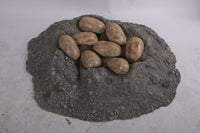 Dinosaur Egg Nest Life Size Statue - LM Treasures 