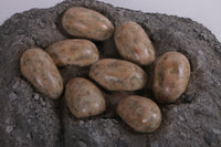 Dinosaur Egg Nest Life Size Statue - LM Treasures 