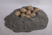 Dinosaur Egg Nest Life Size Statue - LM Treasures 