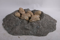 Dinosaur Egg Nest Life Size Statue - LM Treasures 