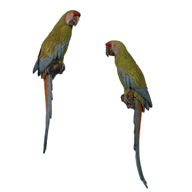 Macaw Buffon Lover Parrots Life Size Statue LM Treasures - H