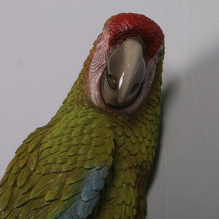 Macaw Buffon Lover Parrots Life Size Statue - LM Treasures 