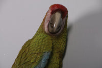 Macaw Buffon Lover Parrots Life Size Statue - LM Treasures 