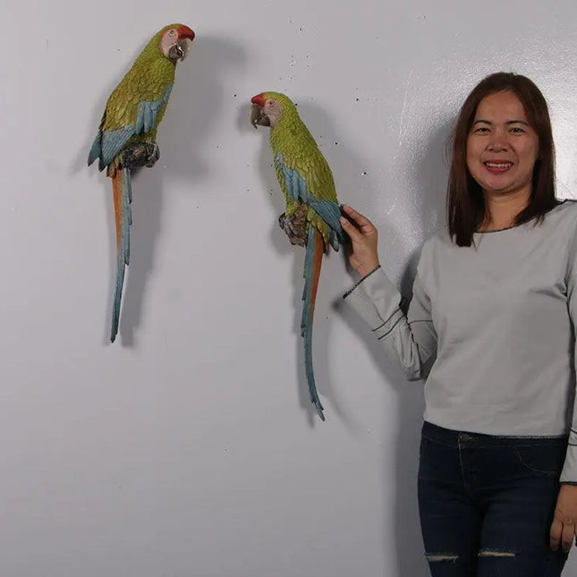 Macaw Buffon Lover Parrots Life Size Statue LM Treasures - H