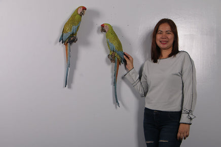 Macaw Buffon Lover Parrots Life Size Statue - LM Treasures 