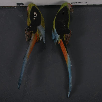 Macaw Buffon Lover Parrots Life Size Statue - LM Treasures 
