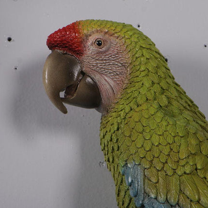 Macaw Buffon Lover Parrots Life Size Statue - LM Treasures 
