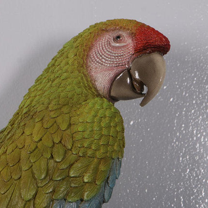 Macaw Buffon Lover Parrots Life Size Statue - LM Treasures 