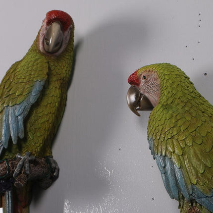 Macaw Buffon Lover Parrots Life Size Statue - LM Treasures 