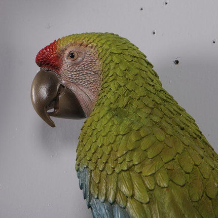 Macaw Buffon Lover Parrots Life Size Statue - LM Treasures 