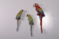 Scarlet Macaw Parrot Life Size Statue - LM Treasures 