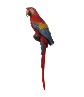 Scarlet Macaw Parrot Life Size Statue - LM Treasures 