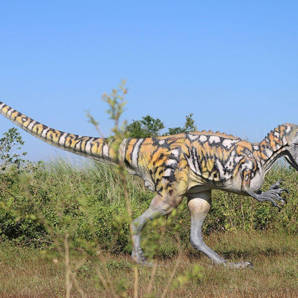 Australovenator Dinosaur Life Size Statue - LM Treasures 