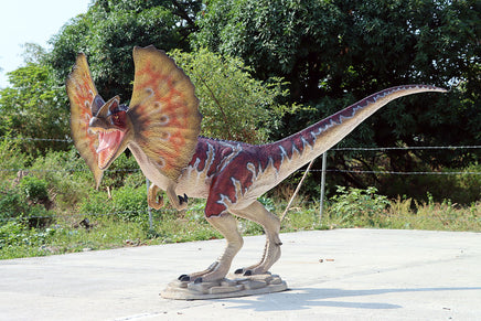 Dilophosaurus Dinosaur Gel Coat Life Size Statue - LM Treasures Life Size Statues & Prop Rental