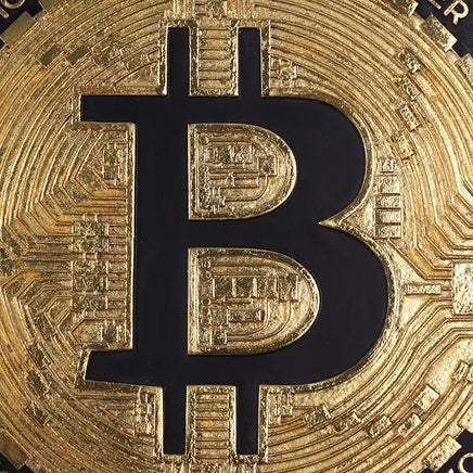 Bitcoin Wall Decor Art Display - LM Treasures 