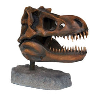 T-Rex Dinosaur Skull Head Life Size Statue - LM Treasures 
