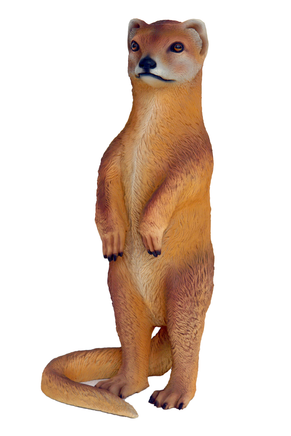 Mongoose Life Size Statue - LM Treasures Life Size Statues & Prop Rental