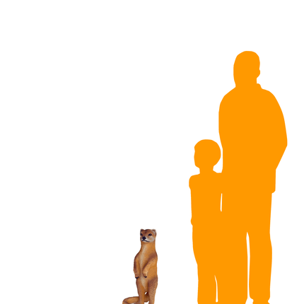 Mongoose Life Size Statue - LM Treasures 