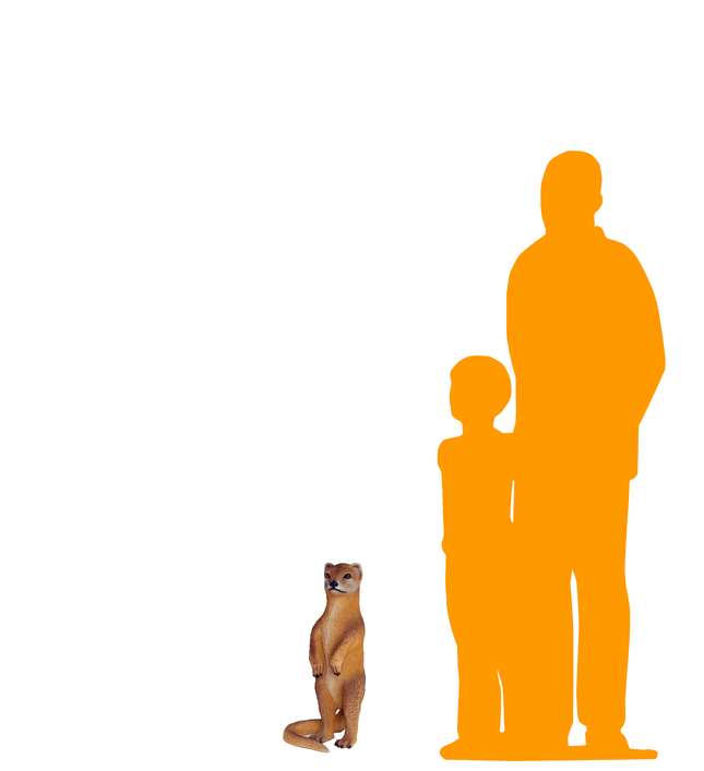 Mongoose Life Size Statue - LM Treasures 