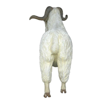 Male Tibetan Sheep Life Size Statue - LM Treasures 