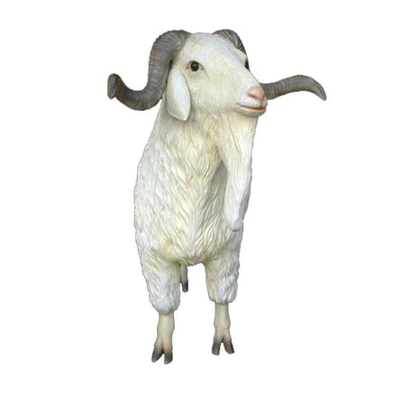 Male Tibetan Sheep Life Size Statue - LM Treasures 