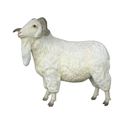 Male Tibetan Sheep Life Size Statue - LM Treasures 