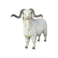 Male Tibetan Sheep Life Size Statue - LM Treasures 