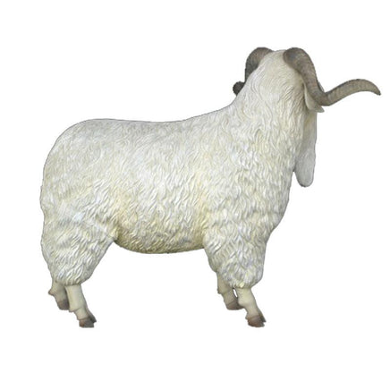 Male Tibetan Sheep Life Size Statue - LM Treasures 