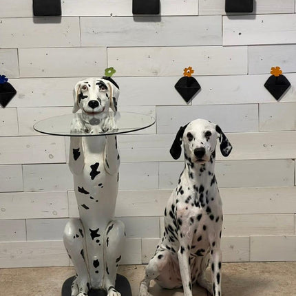 Dalmatian Butler Life Size Statue - LM Treasures 