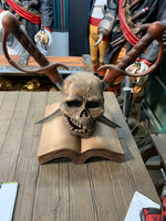 Pirate Skull On Book Over Sized Statue - LM Treasures 