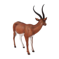 Gazelle Life Size Statue - LM Treasures 