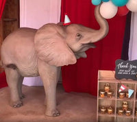 Standing Baby Elephant Statue - LM Treasures 