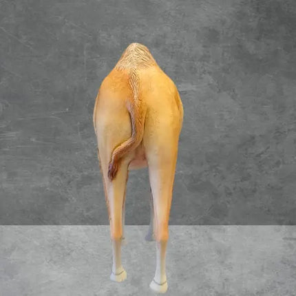 Dromedary Camel Life Size Statue - LM Treasures 