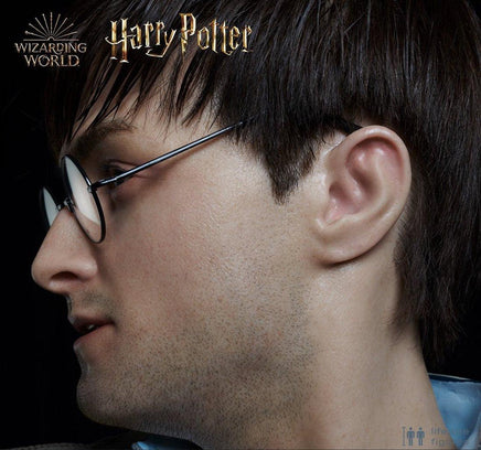 Harry Potter Silicone Head ONLY Life Size  (Daniel Radcliffe) - LM Treasures 