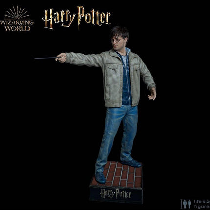 Harry Potter Silicone Head ONLY Life Size  (Daniel Radcliffe) - LM Treasures 