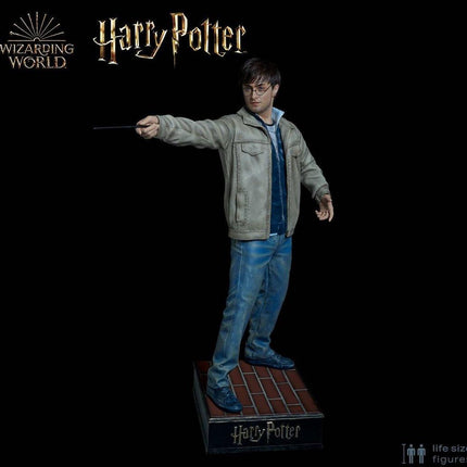 Harry Potter Silicone Head ONLY Life Size  (Daniel Radcliffe) - LM Treasures 