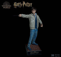 Harry Potter Silicone Head ONLY Life Size  (Daniel Radcliffe) - LM Treasures 