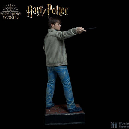 Harry Potter Silicone Head ONLY Life Size  (Daniel Radcliffe) - LM Treasures 