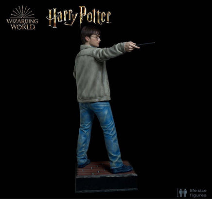 Harry Potter Silicone Head ONLY Life Size  (Daniel Radcliffe) - LM Treasures 