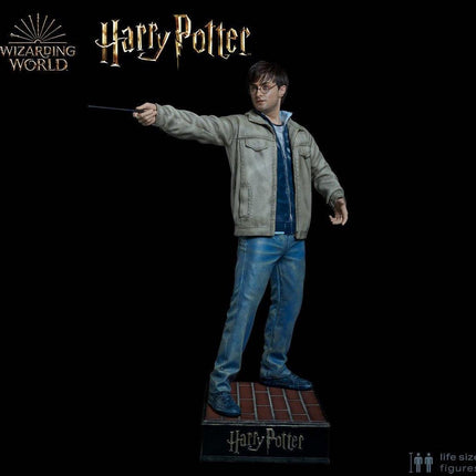 Harry Potter Silicone Head ONLY Life Size  (Daniel Radcliffe) - LM Treasures 