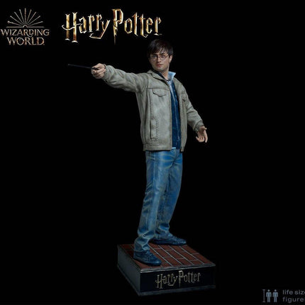 Harry Potter Silicone Head ONLY Life Size  (Daniel Radcliffe) - LM Treasures 