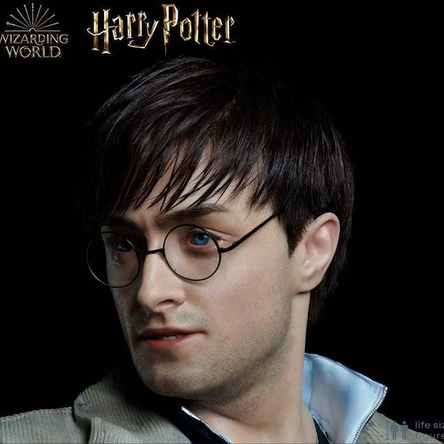 Harry Potter Silicone Head ONLY Life Size  (Daniel Radcliffe) LM Treasures - MM