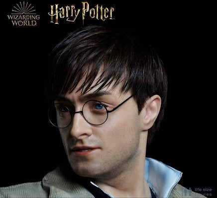 Harry Potter Silicone Head ONLY Life Size  (Daniel Radcliffe) - LM Treasures 