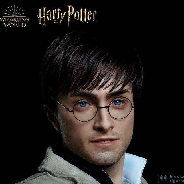 Harry Potter Silicone Head ONLY Life Size  (Daniel Radcliffe) LM Treasures - MM