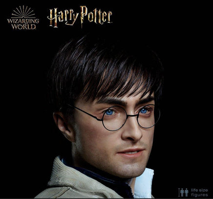 Harry Potter Silicone Head ONLY Life Size  (Daniel Radcliffe) - LM Treasures 