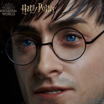 Harry Potter Silicone Head ONLY Life Size  (Daniel Radcliffe) - LM Treasures 