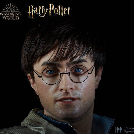 Harry Potter Silicone Head ONLY Life Size  (Daniel Radcliffe) - LM Treasures 