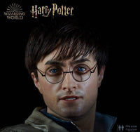 Harry Potter Silicone Head ONLY Life Size  (Daniel Radcliffe) - LM Treasures 