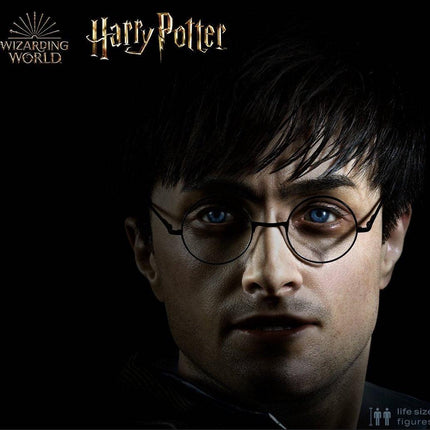 Harry Potter Silicone Head ONLY Life Size  (Daniel Radcliffe) - LM Treasures 